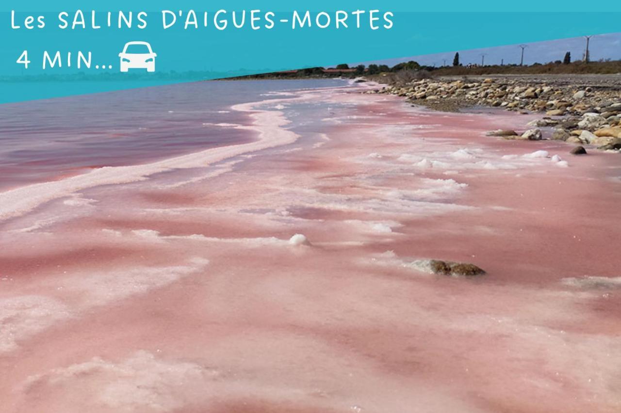 Le Flamant Rose - Cosykaz Lägenhet Aigues-Mortes Exteriör bild